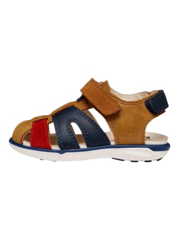 Geox Sandalen in Braun/Rot