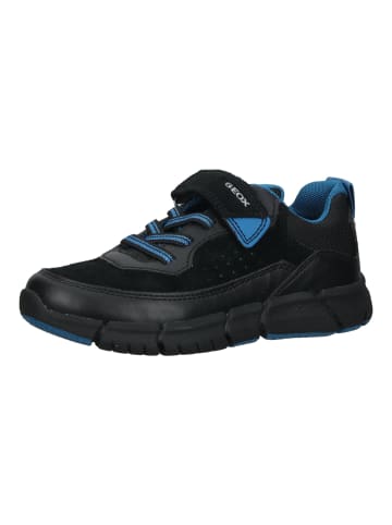 Geox Sneaker in Schwarz/Blau