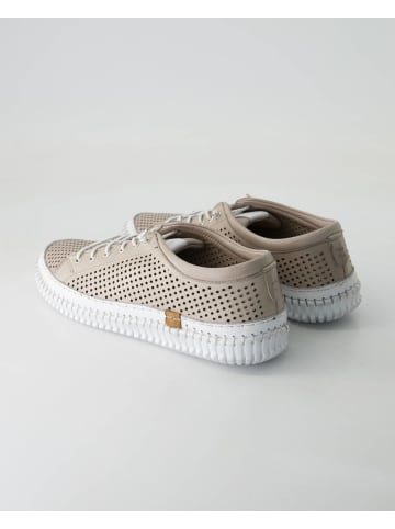 Andrea Conti SHOES Sportliche Schnürschuhe in Beige