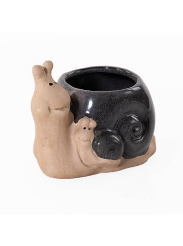 PROGARDEN Blumentopf in mehrfarben