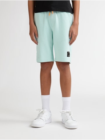 Petrol Industries Jersey-Jogging-Shorts Norte in Grün