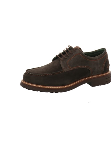 Galizio Torresi Schnürschuhe in braun