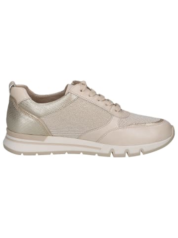 Caprice Sneaker in CREAM/GOLD