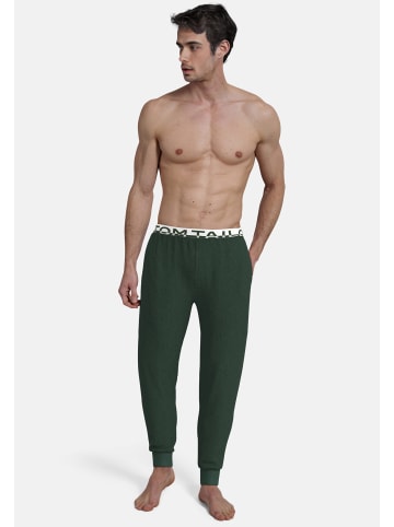 Tom Tailor Lange-Hose Brügge in grün-mittel-melange