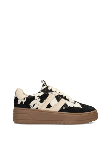 POELMAN Poelman ANEMONE Damen Sneaker