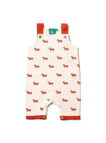 Little Green Radicals Storytime Dungaree Shorts in Cream