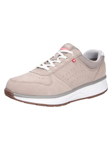 Joya Schnürschuh DYNAMO CLASSIC W BEIGE in beige