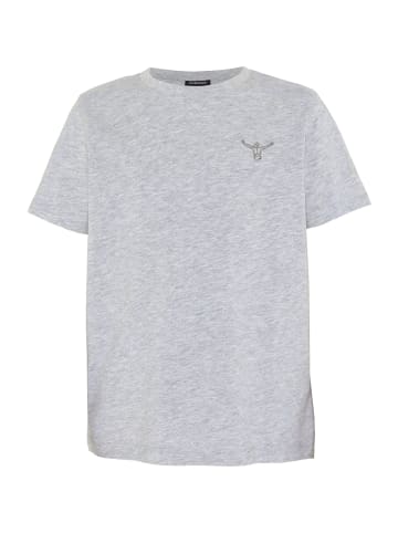 Chiemsee T-Shirt in Grau