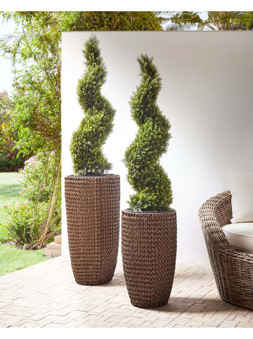 Beliani 2er-Set Outdoor Blumentopf CEDRUS in Braun