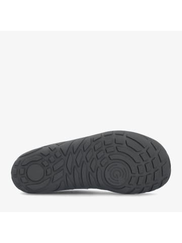 Groundies Sneaker Low in grau