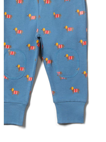 Little Green Radicals Bio-Comfy-Jogger in Blau