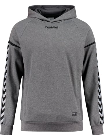 Hummel Kinder Sweatshirt "Auth. Charge Poly Hoodie" in Grau
