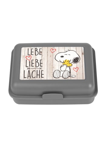 United Labels The Peanuts Brotdose mit Trennwand Snoopy - Lebe Liebe Lache in grau