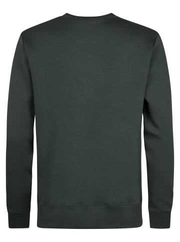 Petrol Industries Scuba-Sweatshirt mit Rundhals steelwall in Grün