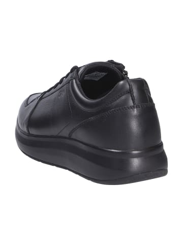 Joya Schnürschuh OLIVER BLACK II in schwarz