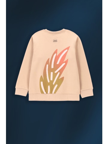 Coccodrillo Sweatshirt in braun