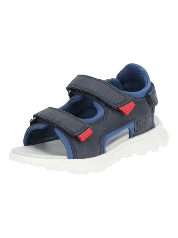 Geox Sandalen in Navy