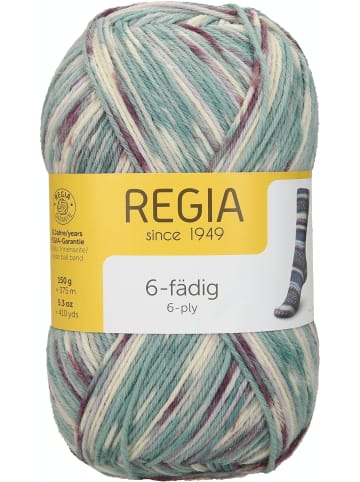 Regia Handstrickgarne 6-fädig Color, 150g in Voss