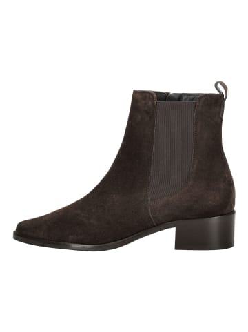Paul Green Stiefelette in Mocca