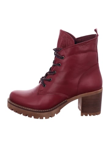 Andrea Conti Stiefelette-warm in bordeaux