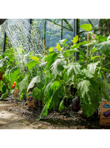 NatureNest PICK-und-JOY Aubergine