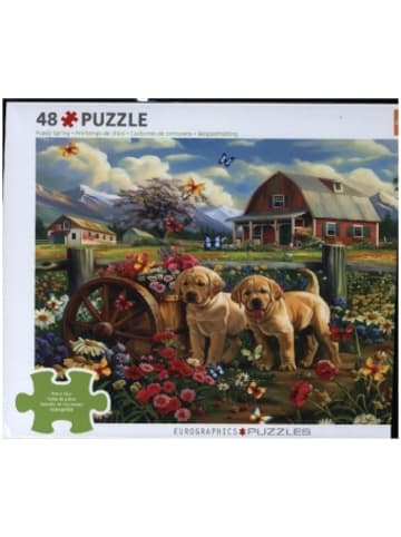 Eurographics Spiel - CP48 - Puppy Spring by Shawna Steward