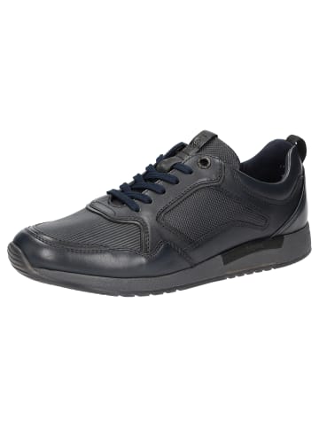 Sioux Sneaker Rojaro-713 in blau