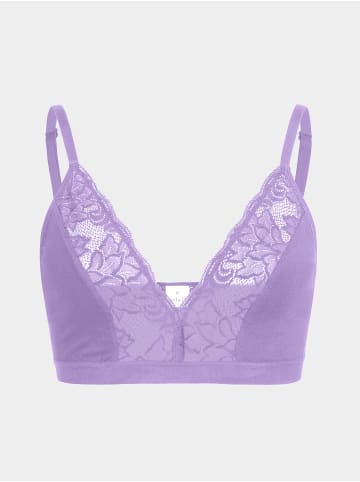 Erlich Textil  Alisa Big Cup Bustier mit Spitze große Cups aus Modal, Alisa Big Cup Bustier mit Spitze große Cups aus Modal - breites Unterbrustband, Alisa granatapfel mit Spitze große Cups aus Modal, Alisa salbei mit Spitze große Cups aus Modal in flieder