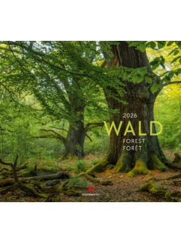 Ackermann Kunstverlag Kalender - Wald Kalender 2026