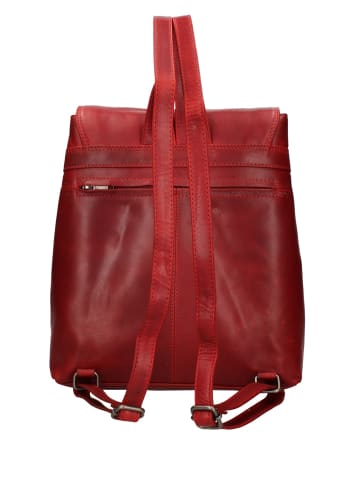 Hill Burry Rucksack in RED