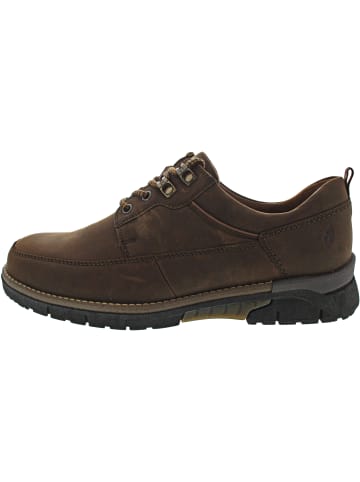 WALDLÄUFER H-Markus Schnürer Braun