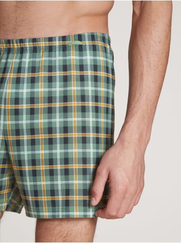 Calida Boxershorts in laurel green