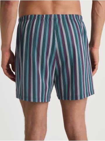 Calida Boxershorts in shadow blue