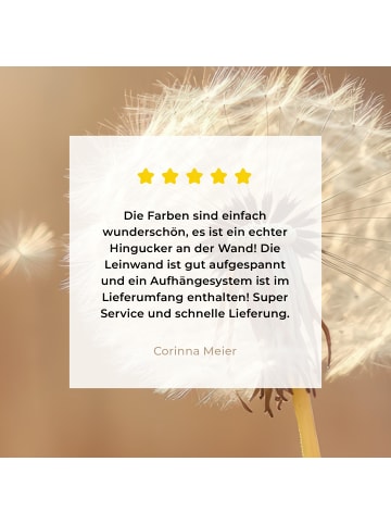 MuchoWow Leinwand bilder Nahaufnahme Flaum (BxH)