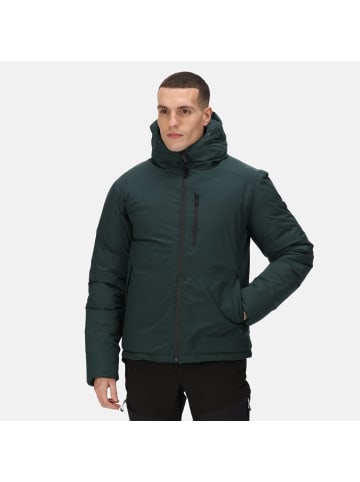 Regatta Funktionsjacke Colehurst in Green Gables