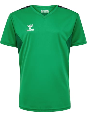 Hummel Hummel T-Shirt Hmlauthentic Fußball Kinder in JELLY BEAN