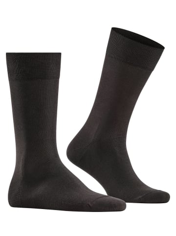 Falke Socken 2er Pack in Braun