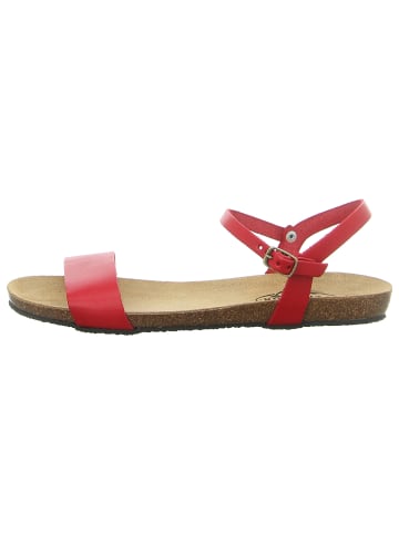 Plakton Sandalen in rot