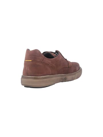 Camel Active Halbschuhe in Braun