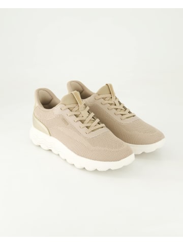 Geox Sneaker low in Beige