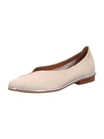 Everybody Elegante Ballerinas in Beige