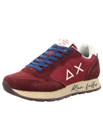 Sun68 Sneaker in bordeaux