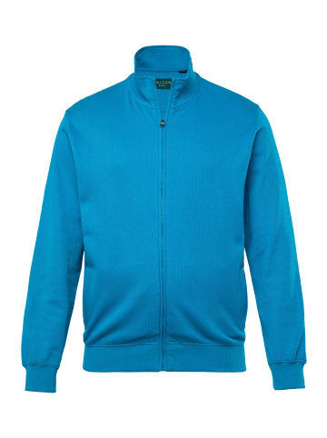 Boston Park Sweatjacke in hellblau