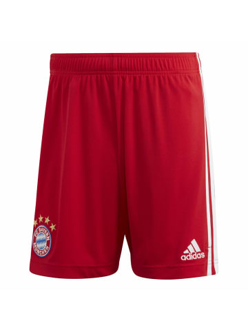adidas Trainingshose für Herren in rot