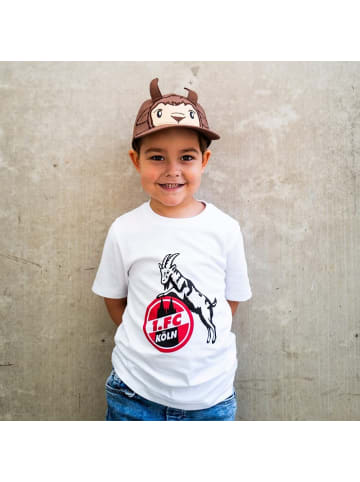 Fußballverein 1. FC Köln Shirt "T-Shirt Basic" in Weiß
