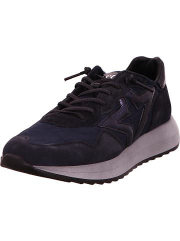 Cetti Sneaker in blau