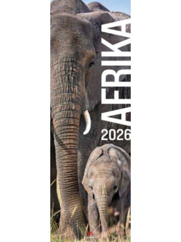 Ackermann Kunstverlag Kalender - Afrika Vertikal Kalender 2026