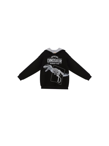 Denokids Sweatshirt Dino Research XT in schwarz