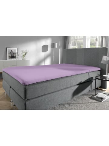 REDBEST Single-Jersey Topper-Spannbettlaken Denver in lavendel