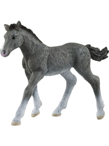 Schleich Trakehner Fohlen in Mehrfarbig ab 5 Jahre